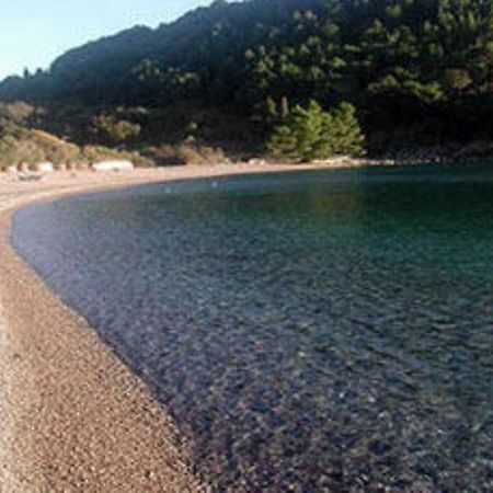 Apartments & Rooms M Petrovac Екстер'єр фото