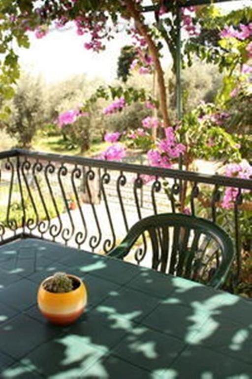 Apartments & Rooms M Petrovac Екстер'єр фото