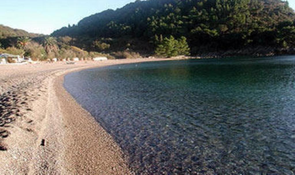 Apartments & Rooms M Petrovac Екстер'єр фото